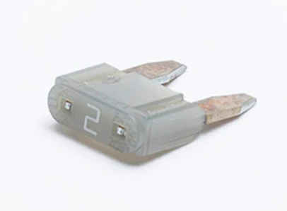 A01412-001 - Slow Blow Fuse, 2 Amps (for SCB & ACB2 Boards)